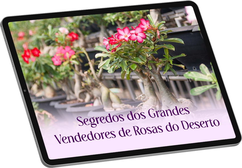 [MOCKUP COMPLETO] [SEGREDO DOS GRANDES VENDEDORES]