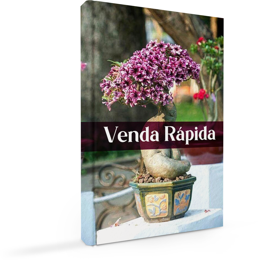 [MOCKUP] [VENDA RÁPIDA]